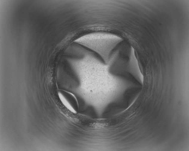 X0000080720255200701021101