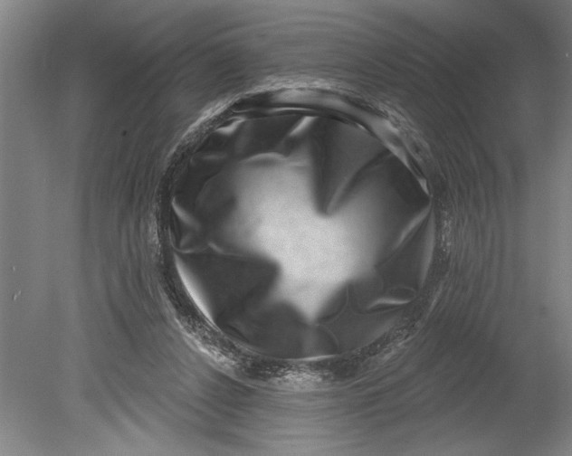 X0000080720256200701021102