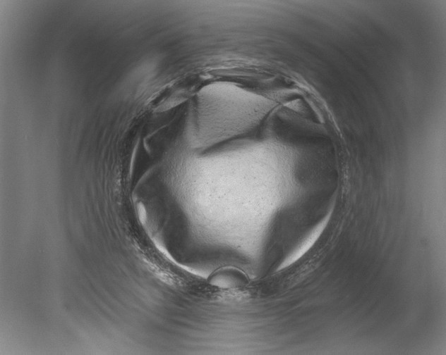 X0000080720257200701021102