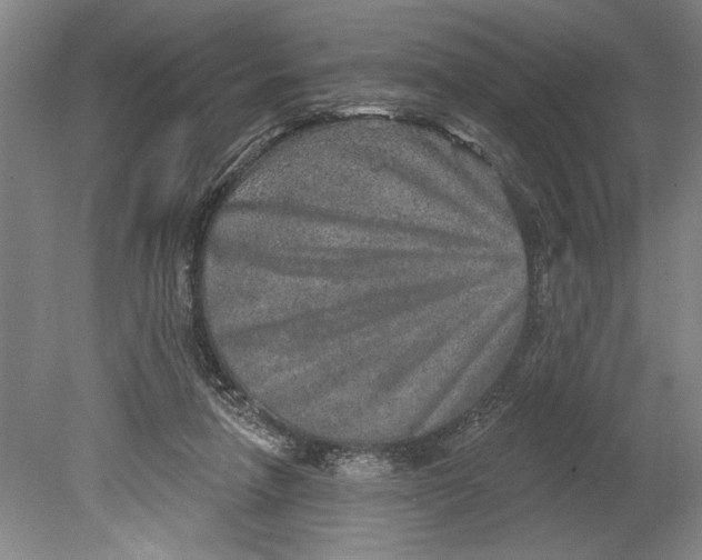 X0000080720258200701021102