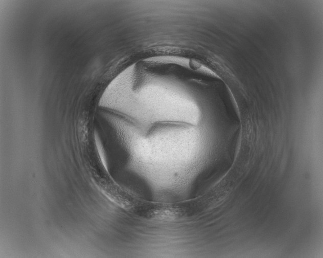 X0000080720259200701021102