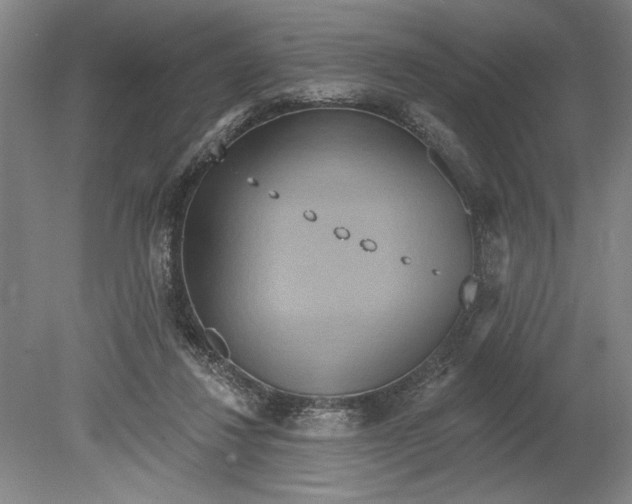 X0000080720260200701021102