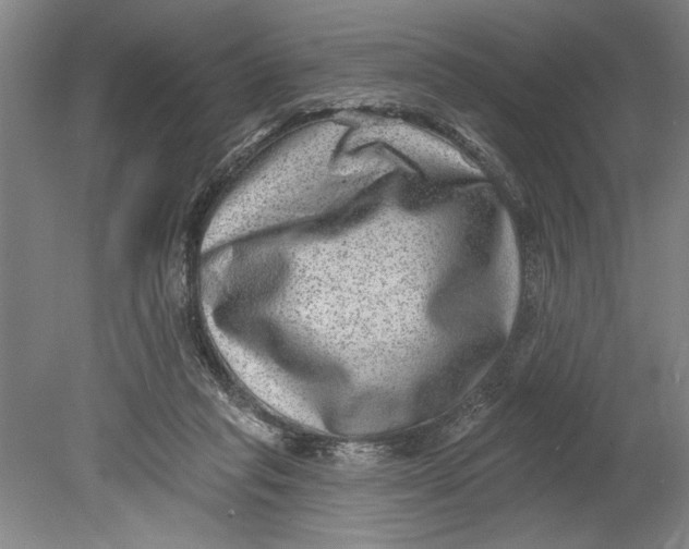 X0000080720261200701021102