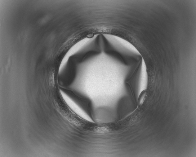 X0000080720262200701021102