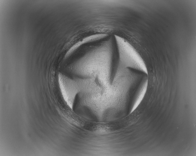 X0000080720263200701021102