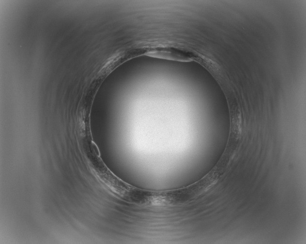 X0000080720264200701021102