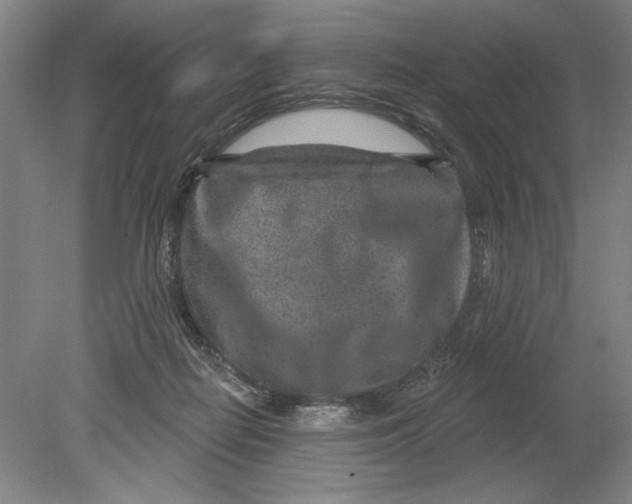 X0000080720266200701021102