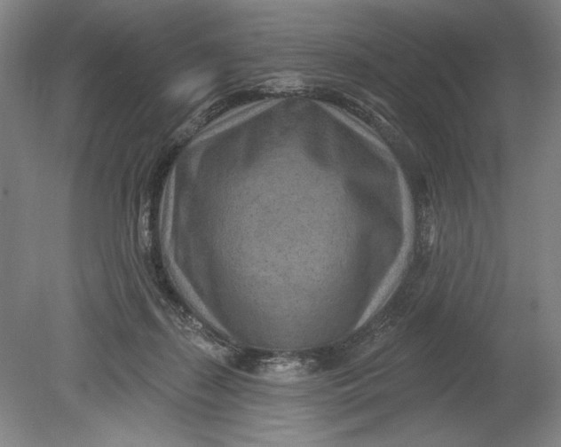 X0000080720267200701021102