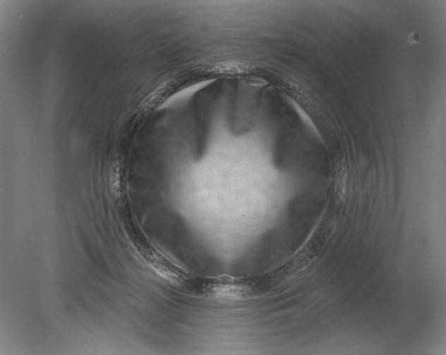 X0000080720268200701021102