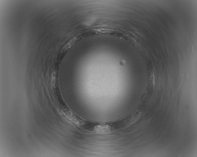 X0000080720271200701021102