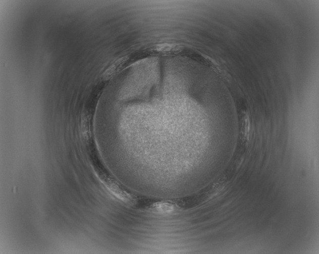 X0000080720272200701021102