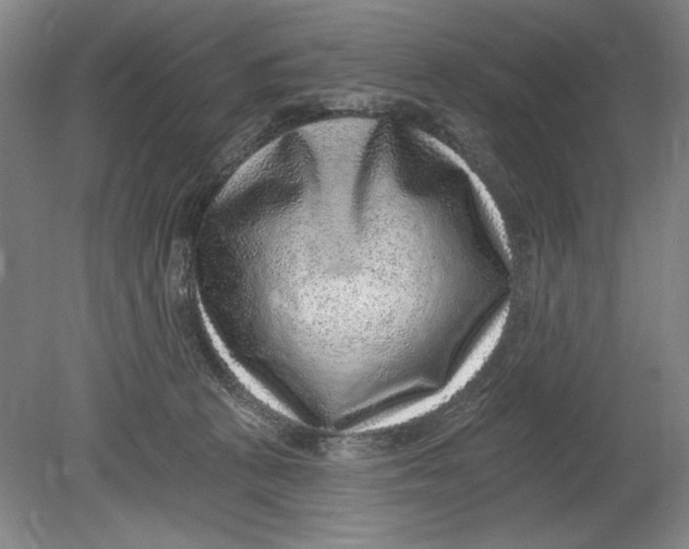 X0000080720273200701021102