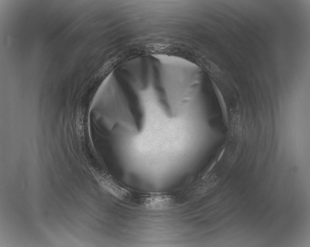 X0000080720274200701021102