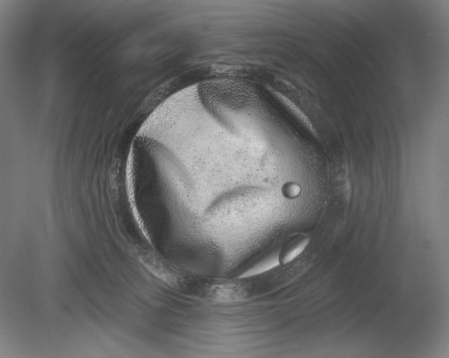 X0000080720275200701021102