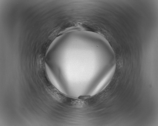 X0000080720276200701021102