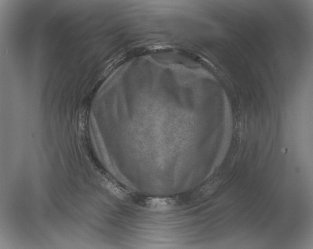 X0000080720277200701021102