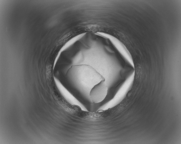 X0000080720278200701021102