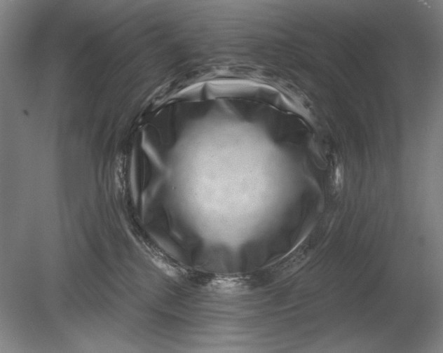 X0000080720280200701021102