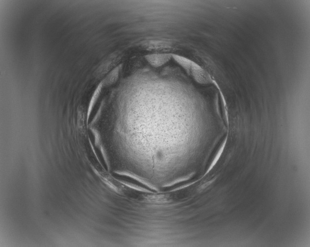 X0000080720281200701021102