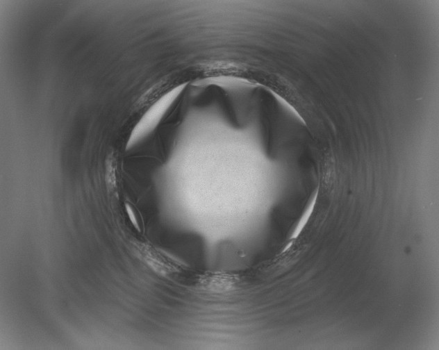 X0000080720282200701021102