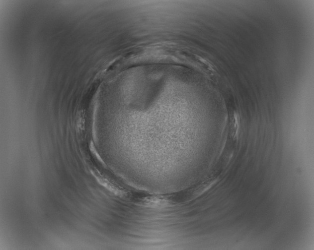 X0000080720284200701021102