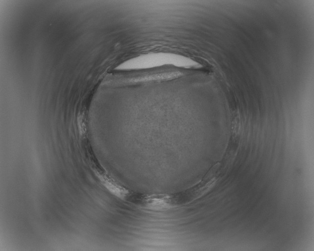 X0000080720285200701021102