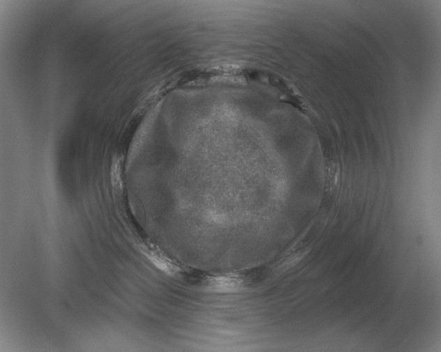 X0000080720286200701021102