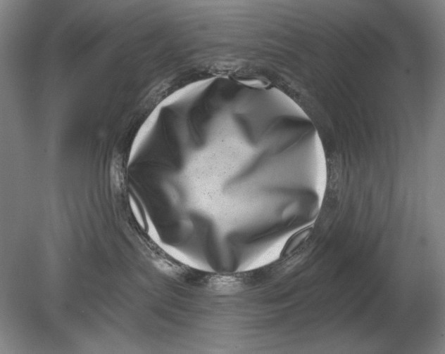 X0000080720287200701021102