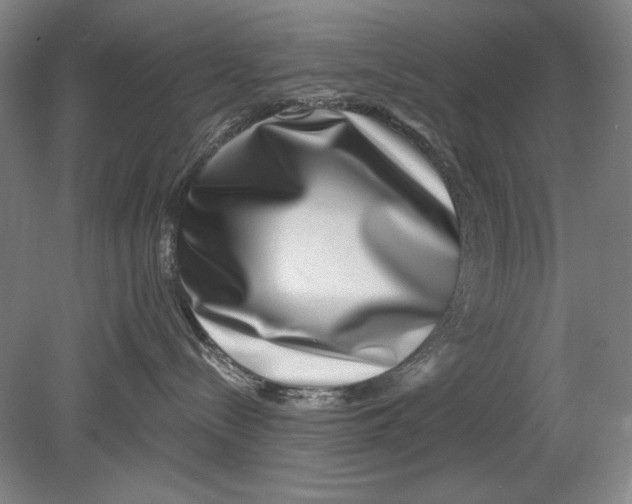 X0000080720288200701021102