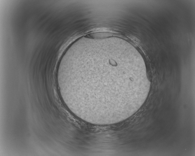 X0000080720289200701021101