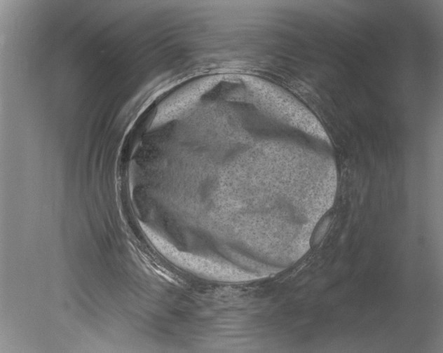 X0000080720290200701021101