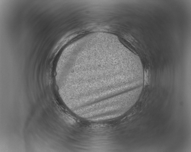 X0000080720291200701021101