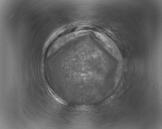 X0000080720293200701021101