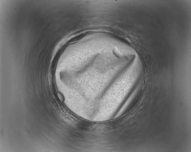 X0000080720294200701021101