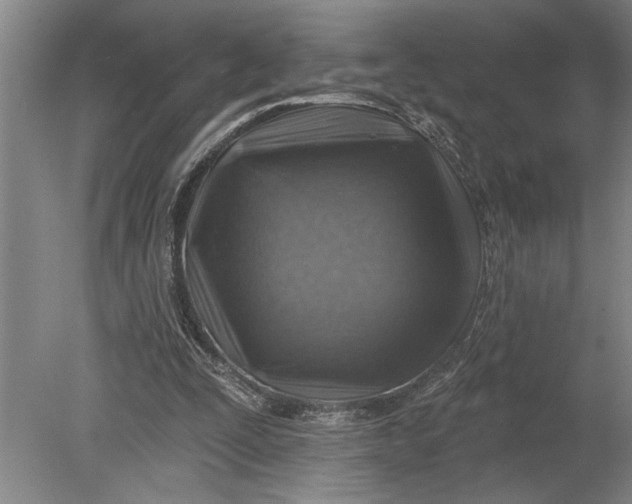 X0000080720295200701021101