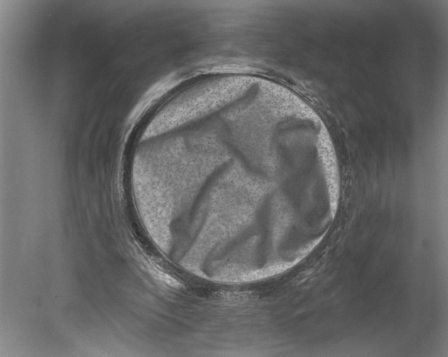 X0000080720296200701021101