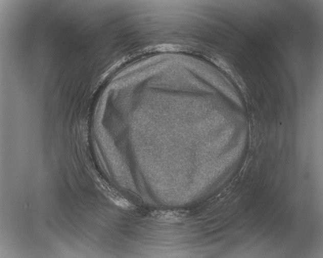 X0000080720297200701021101