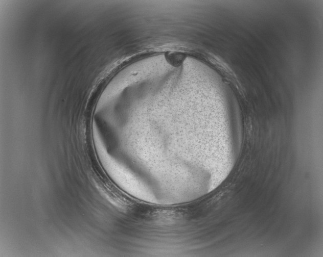 X0000080720298200701021101