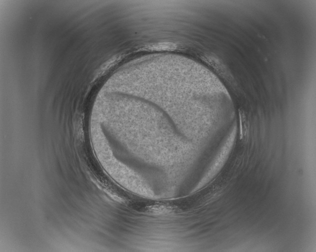 X0000080720300200701021101