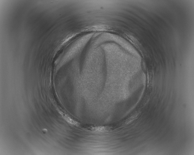 X0000080720301200701021101