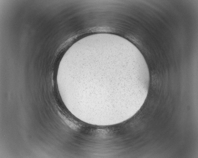 X0000080720302200701021101