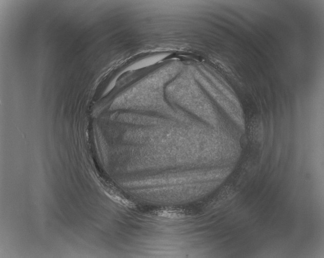 X0000080720303200701021101