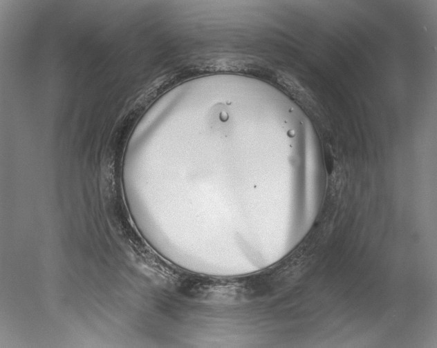 X0000080720306200701021101