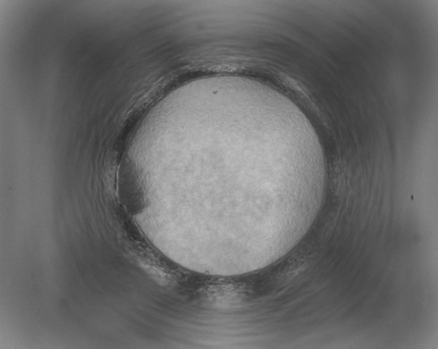 X0000080720307200701021101