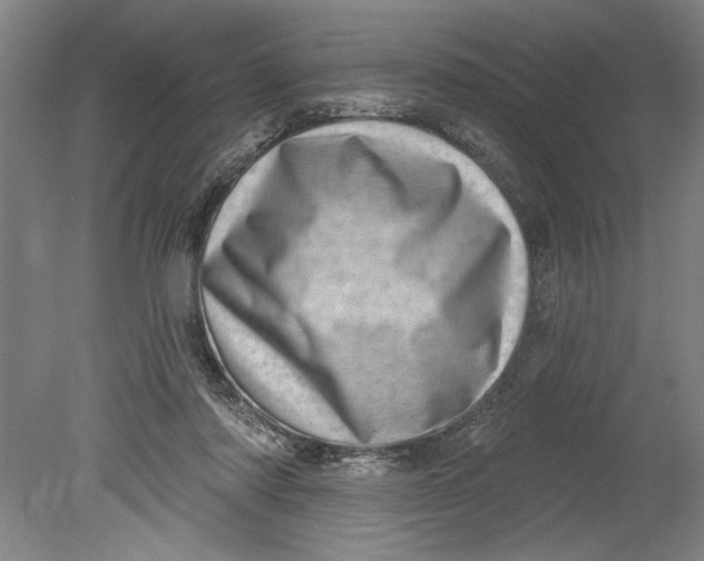 X0000080720310200701021101