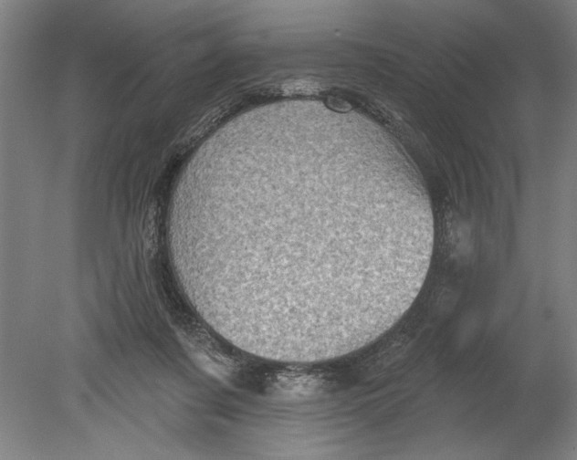 X0000080720311200701021101