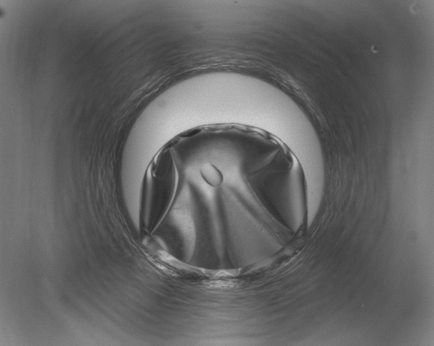 X0000080720313200701021101