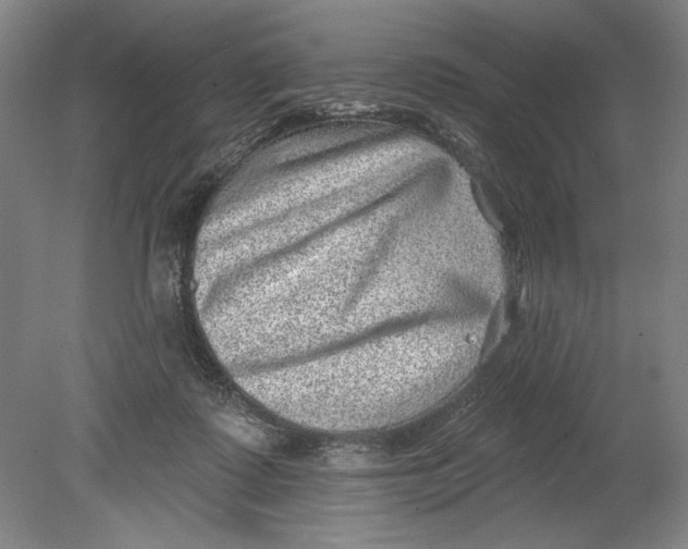 X0000080720315200701021101