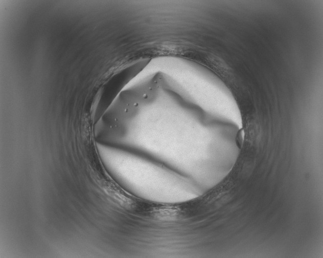 X0000080720318200701021101