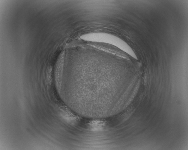 X0000080720319200701021101